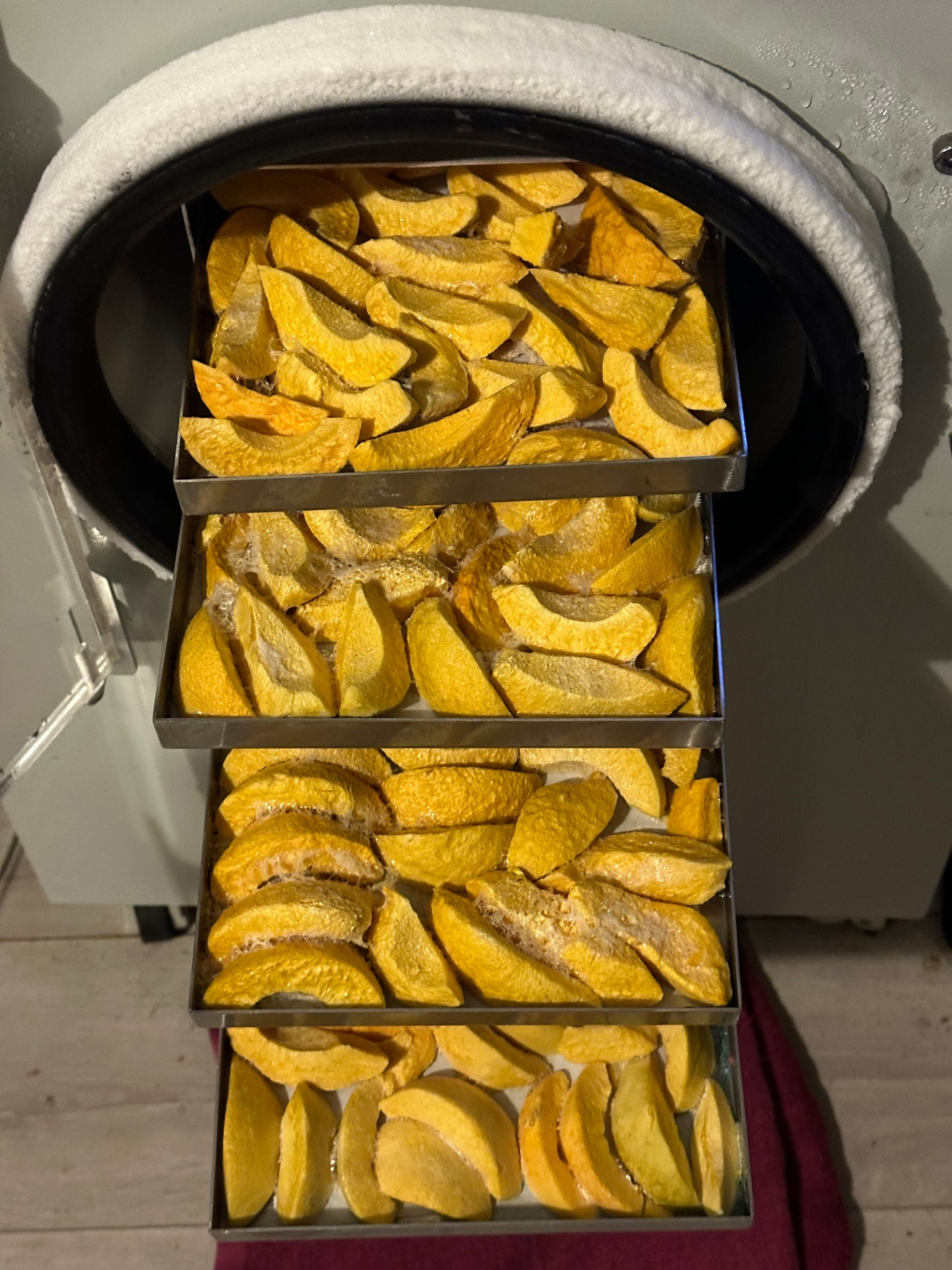Freeze Dried Fresh Peach Slices