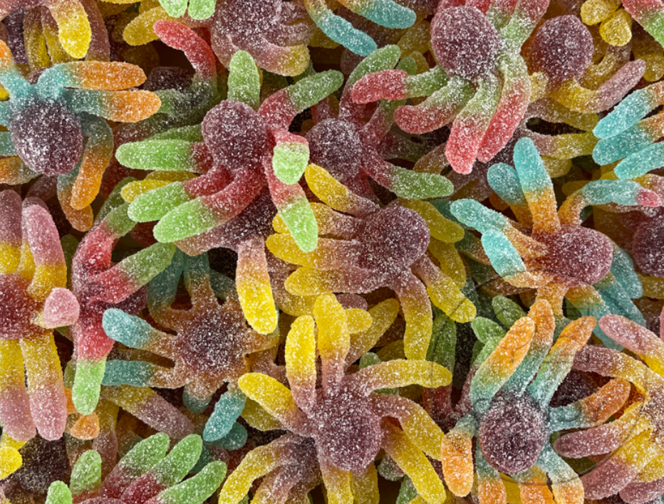 Sour Gummy Octopus