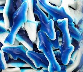 Freeze-Dried Blue Sharks