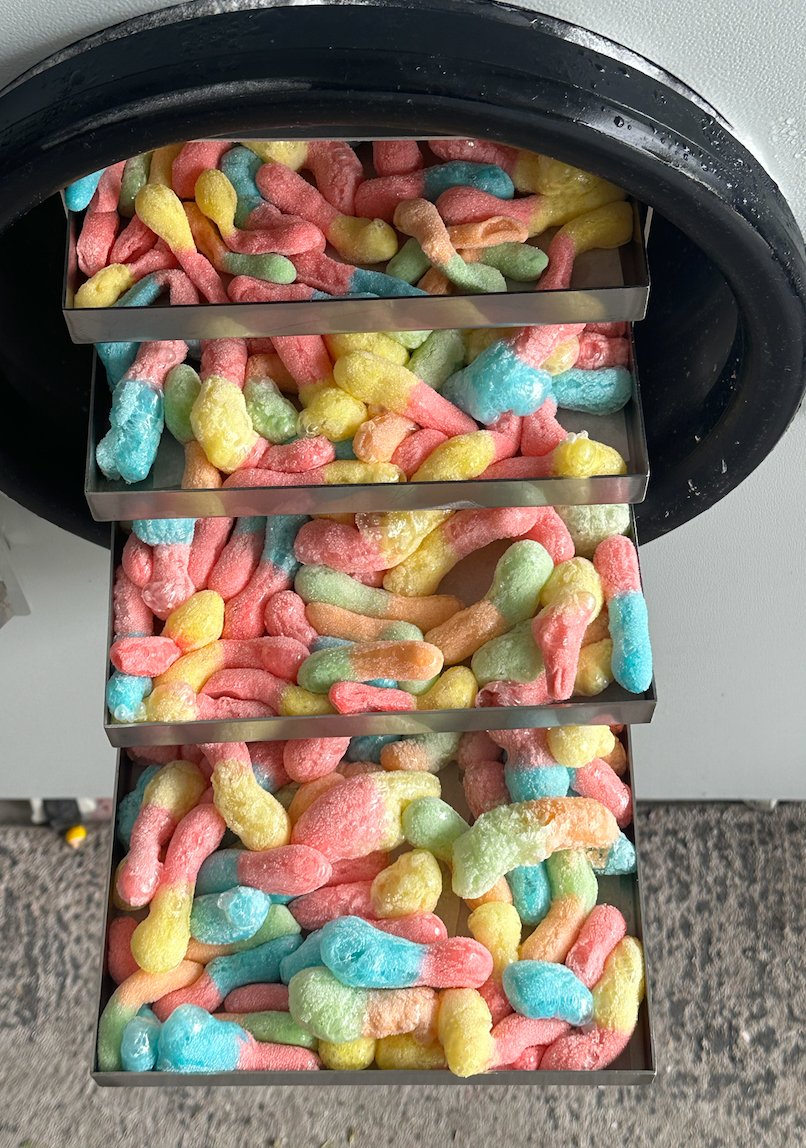 Freeze-Dried Sour Worms