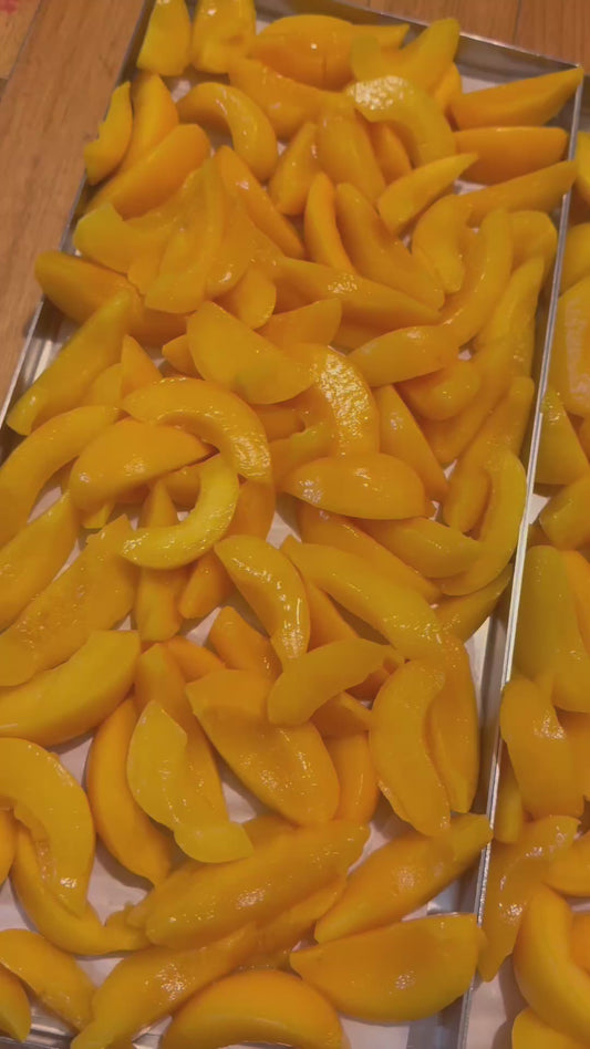 Freeze Dried Fresh Peach Slices